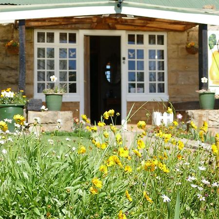 Peerboom Guesthouse Fouriesburg Kültér fotó